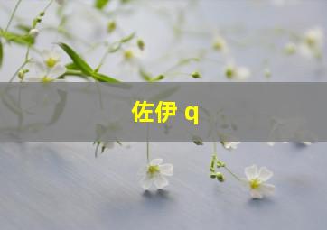 佐伊 q